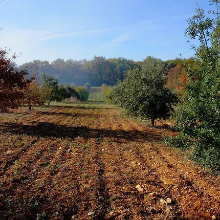 La Truffiere Des Merigots Homestay szállás *